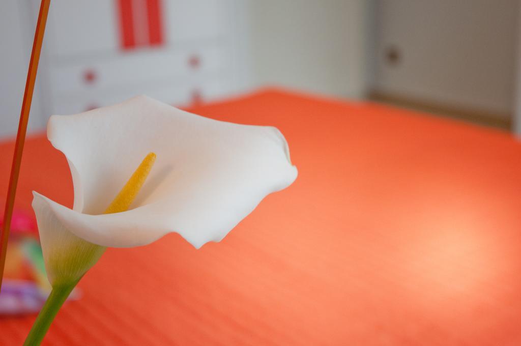 Albergo La Rosetta 基安奇安诺泰尔梅 外观 照片